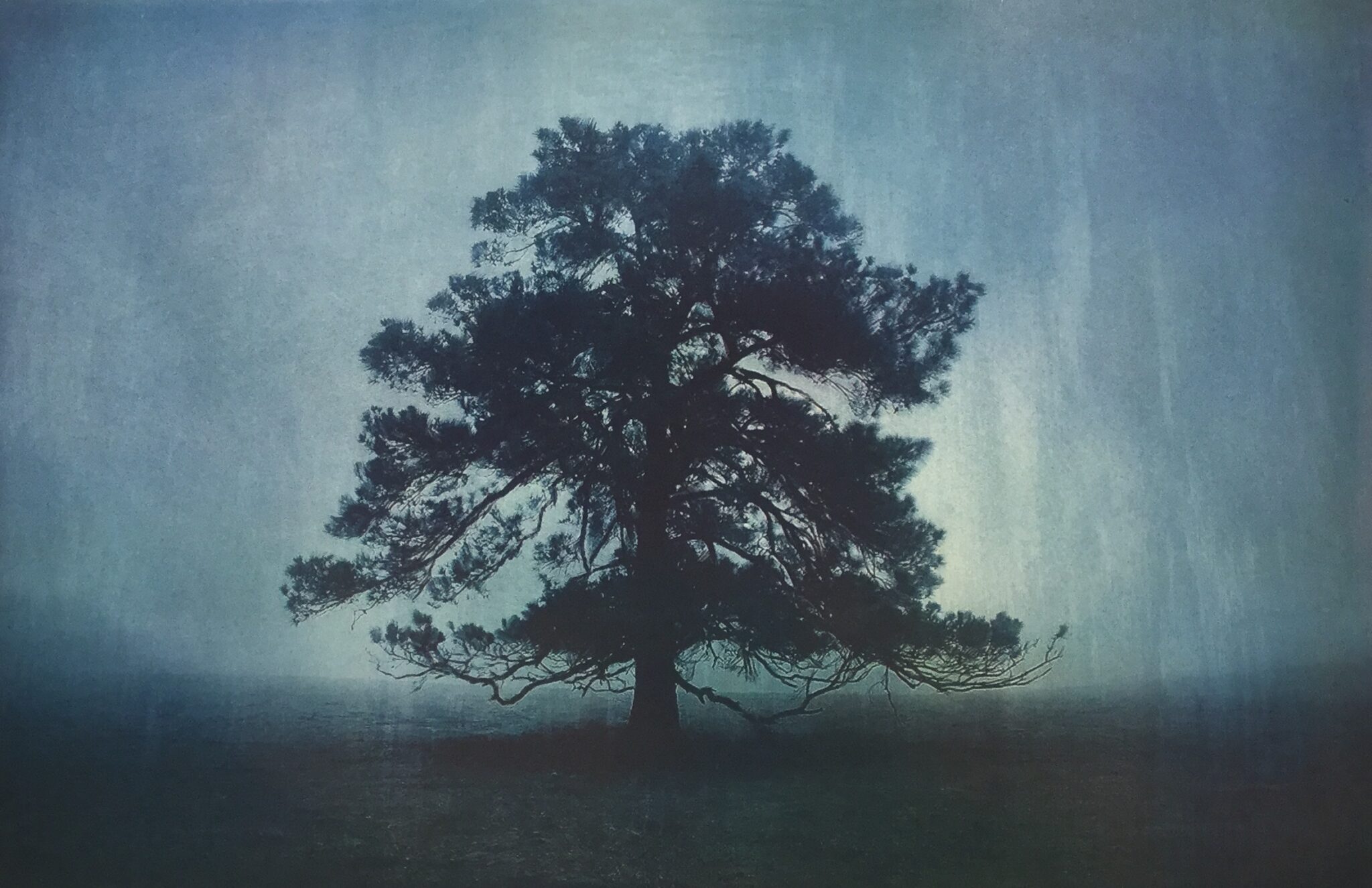 Terje Risberg til salgs i Oslo - Galleri D40 - Kunstgalleri i Oslo