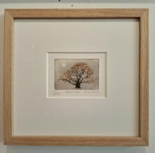 Fredet eik (innrammet)