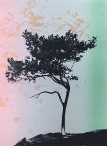 Anne Kristin Hagesæther